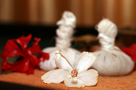 DrDollyAyurvedicClinic